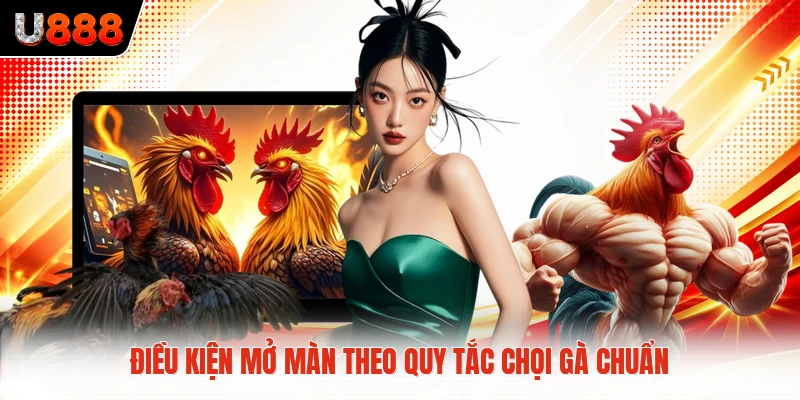 Điều kiện mở màn theo quy tắc chọi gà chuẩn