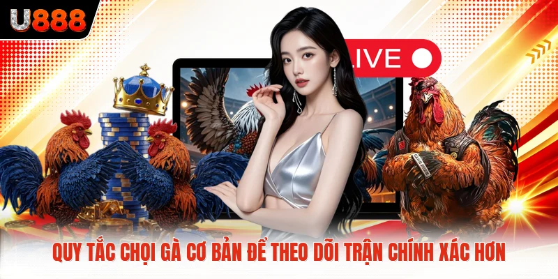 Quy Tắc Chọi Gà Cơ Bản Để Theo Dõi Trận Chính Xác Hơn