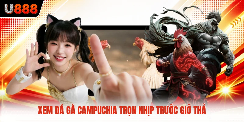 Xem đá gà Campuchia trọn nhịp trước giờ thả